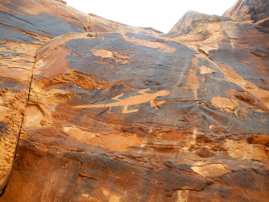 Cub Creek 5 foot long liza