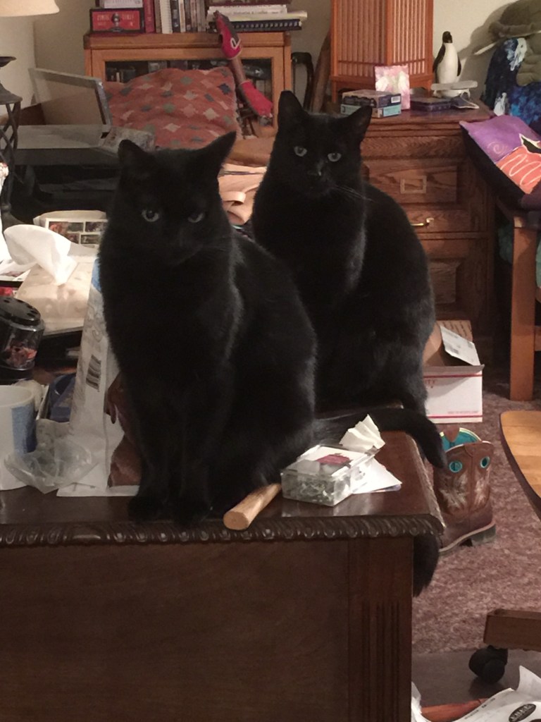 A Pair of Good For Nothins