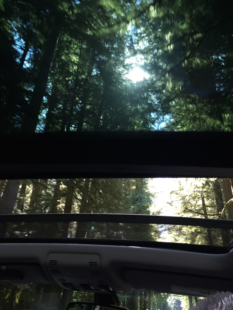 Through the moon roof 