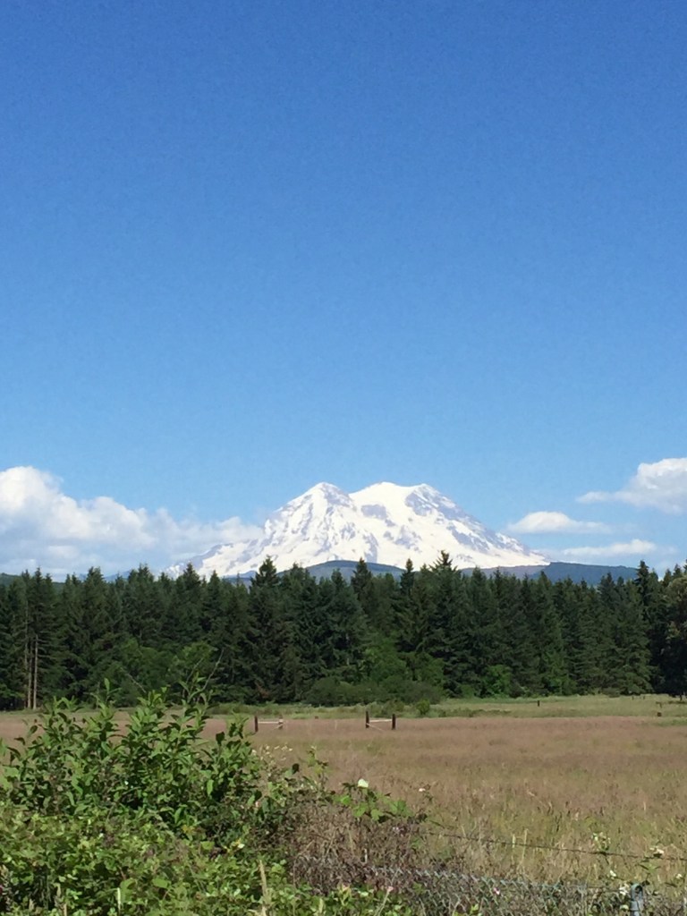 A mile from our home you get this view...