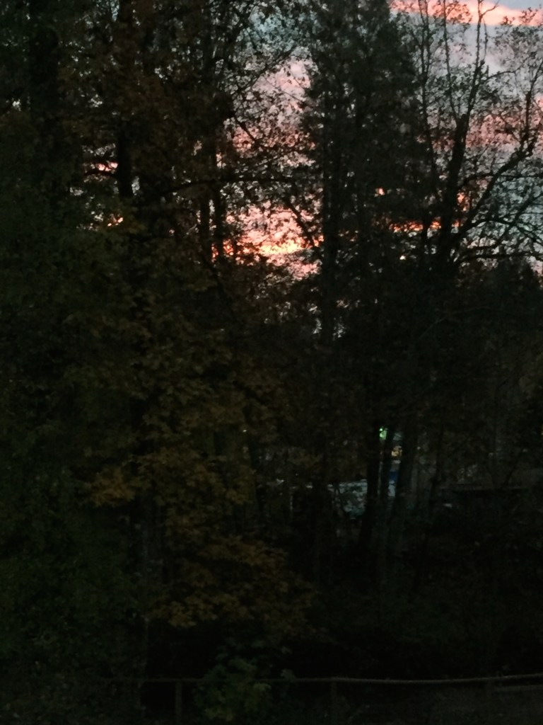 Evening gray, morning red keeps the traveller in his bed