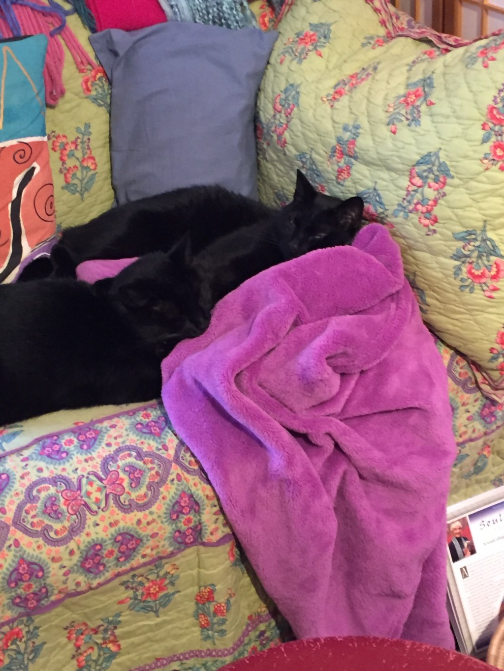 Putting the Travel in&nbsp;Travelogue