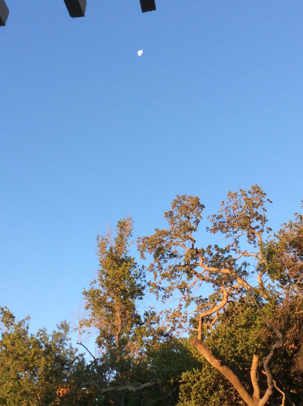 Baby Steps vs. Smart&nbsp;Steps