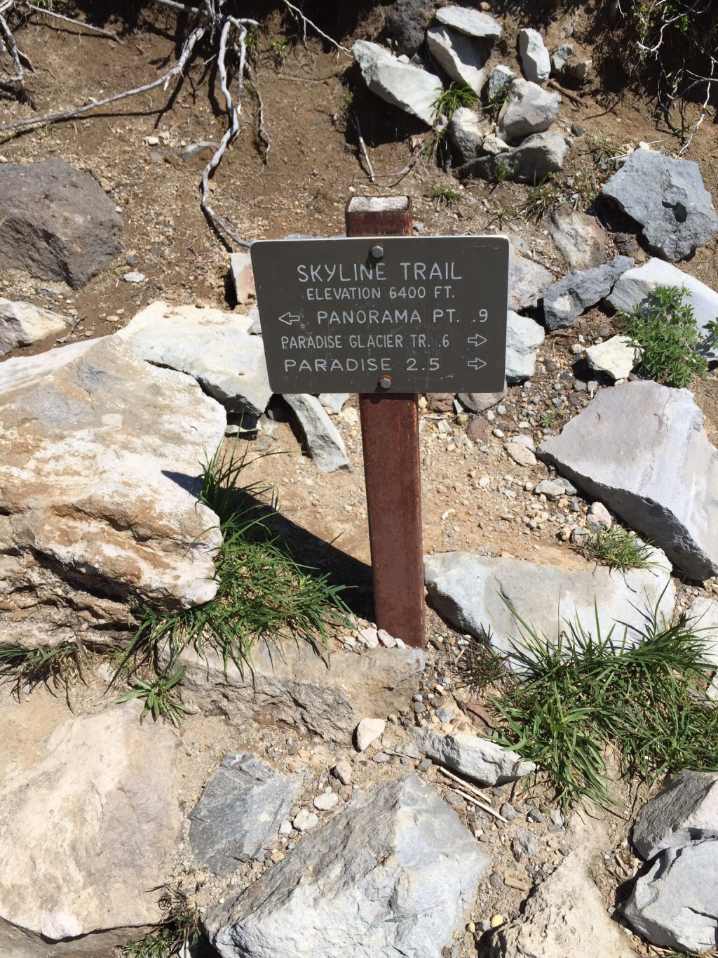Mt. Rainier’s Floral Mantle 
