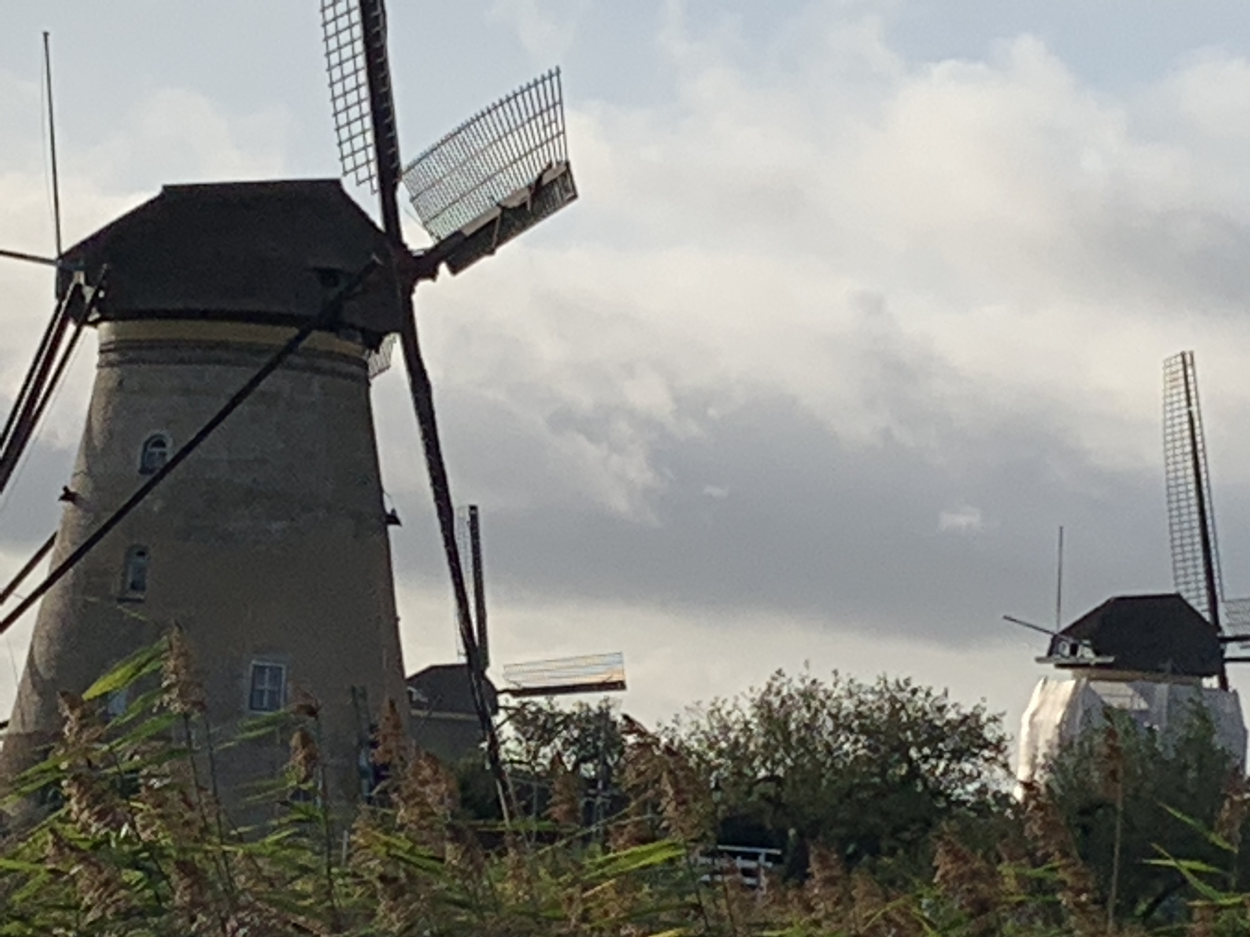 43BDCD3B-D6AC-4FA1-A98A-577FC854639E