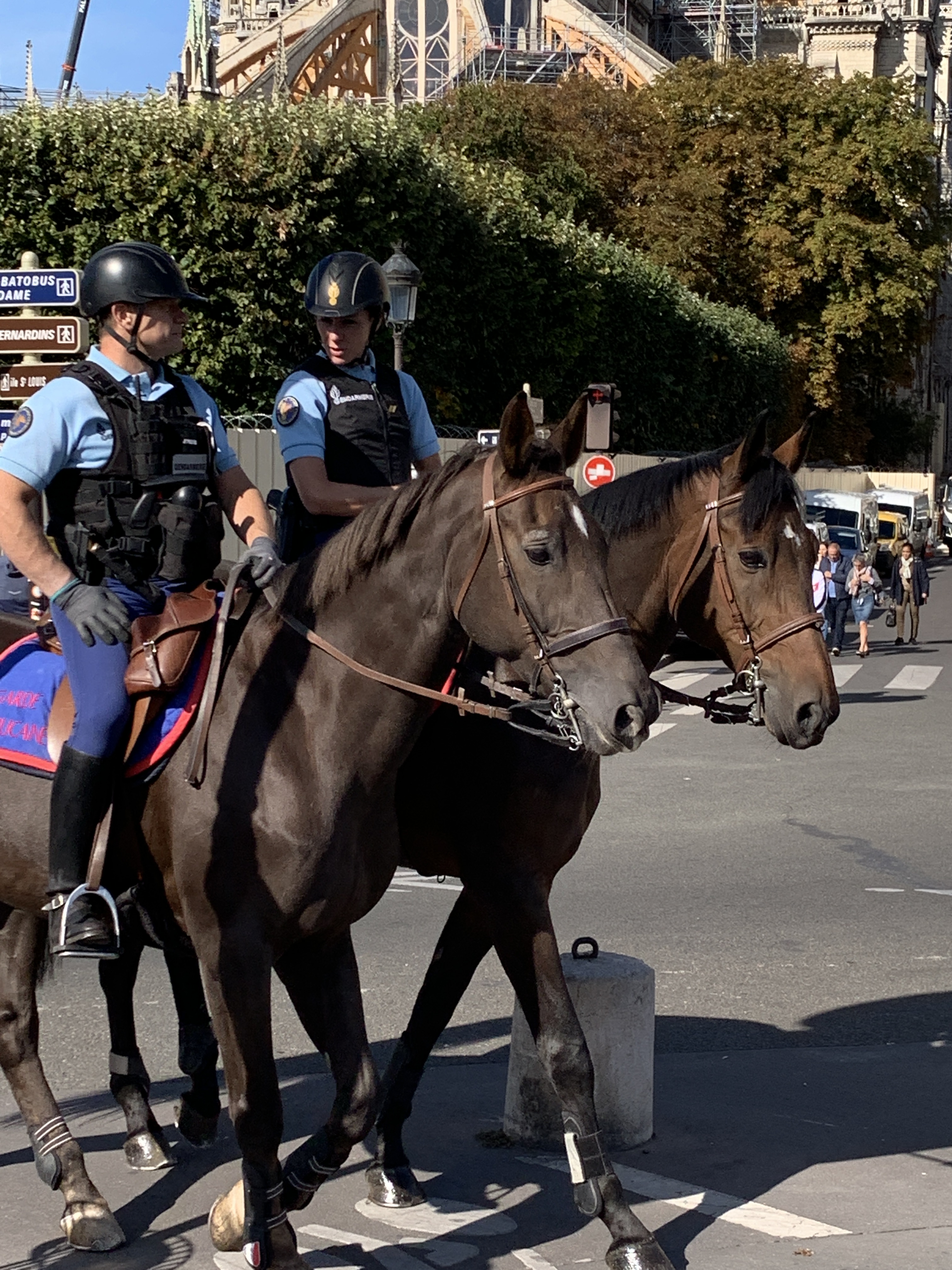 AE1AE4D7-852A-4A7A-A3B3-6AE46849C3B8